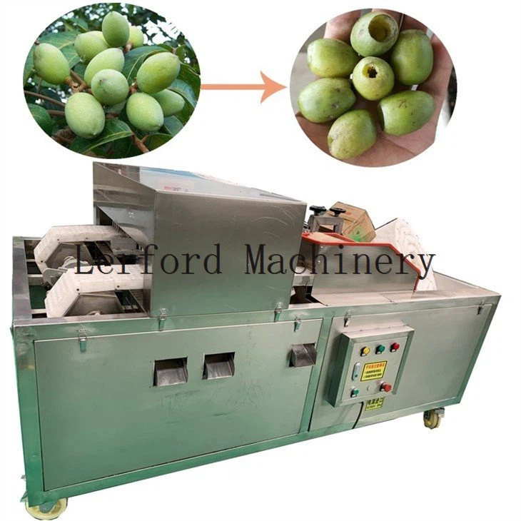 de pitting olive machine