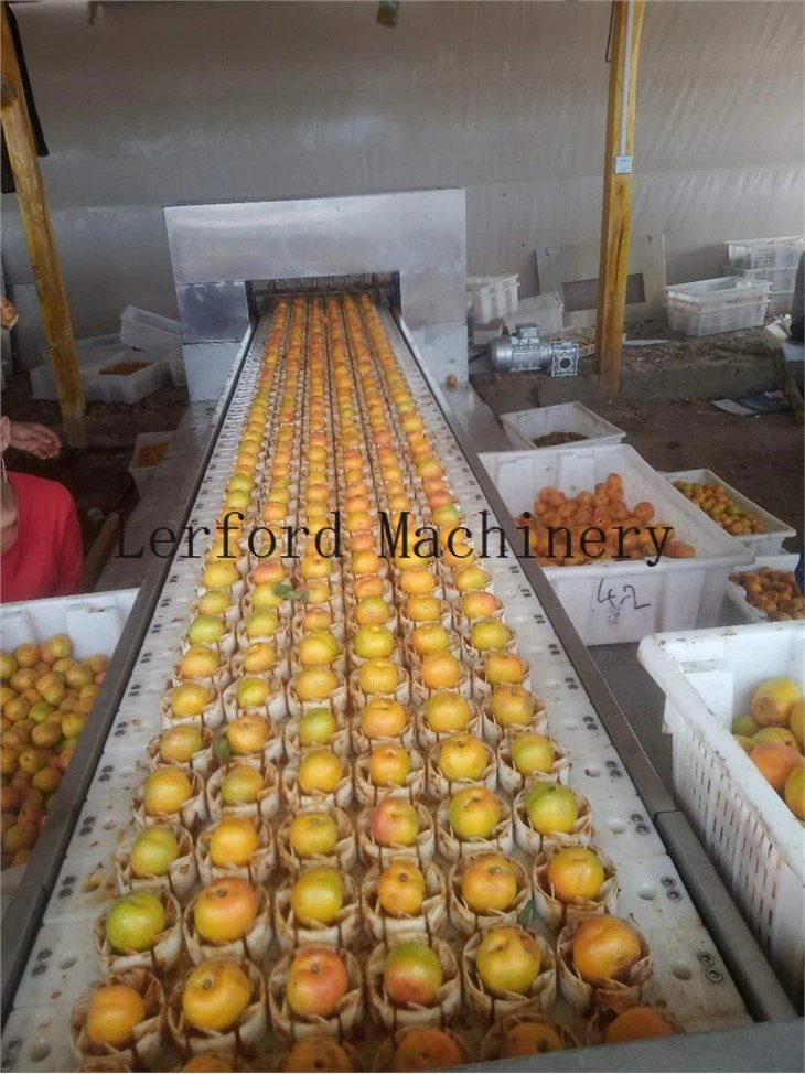 cherry pitter machine