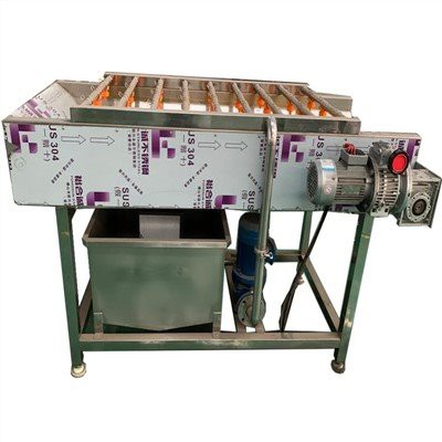 Pralka do owoców i warzyw