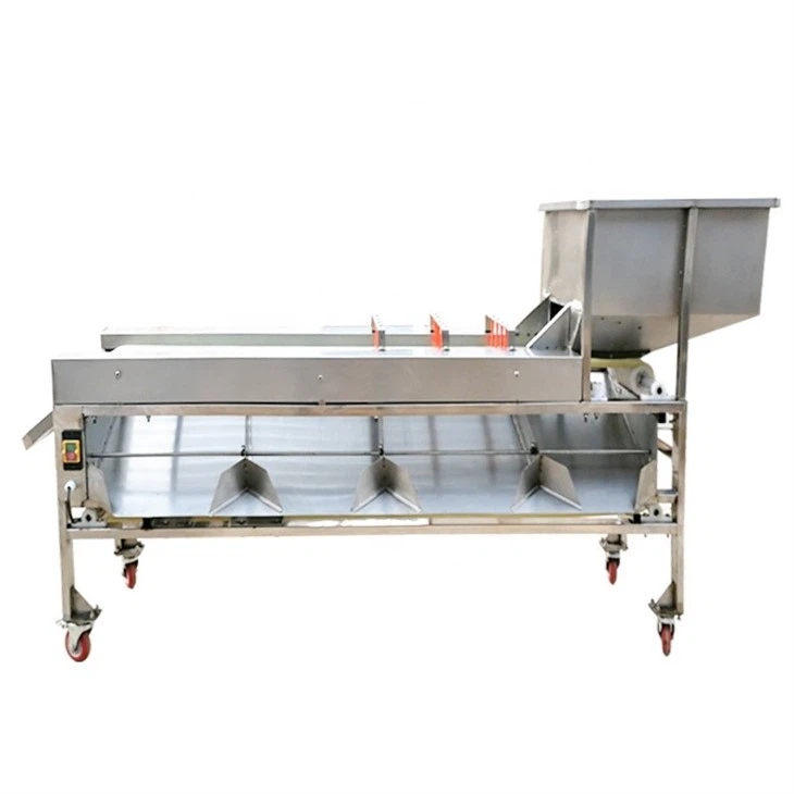 Apple Grading Packing Machine