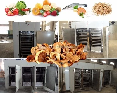 fruit dryer machine fruit dryer machine